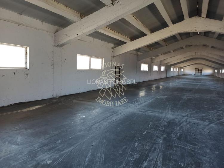 2 Hale 1000 mp si 900 mp-teren 3400 mp-oportunitate-Livezile - 4