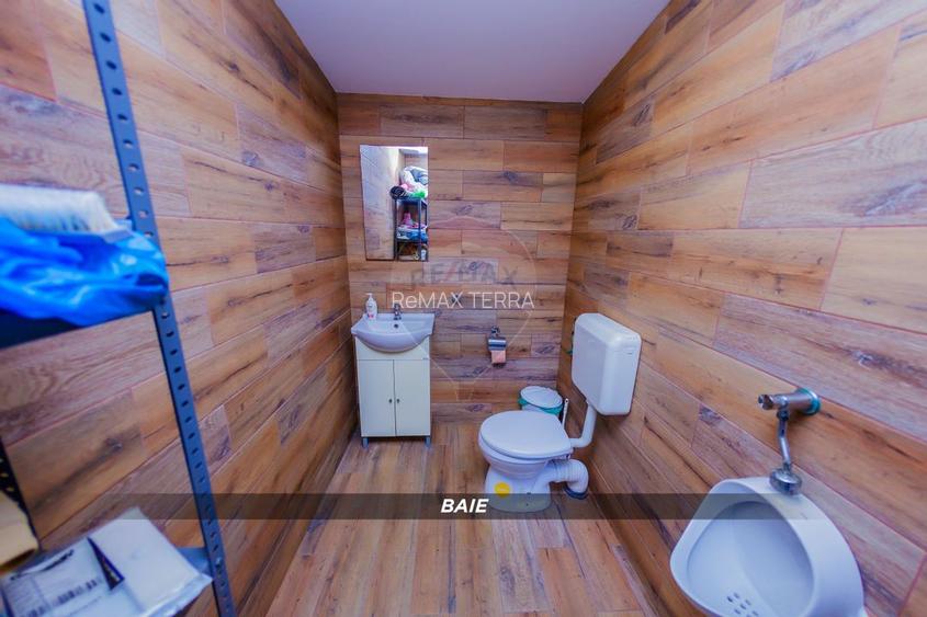 DE VANZARE Casa de Familie cu Piscina si Mult Spatiu Exterior - 22