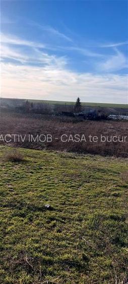 Teren TOP 1400mp  18ml stradal  Vanatori (Odaia Manolache) - 10