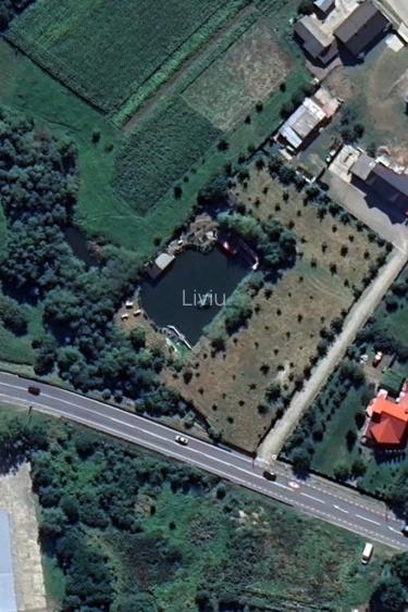 Vând teren cu iaz și livadă de nuci – Ilișești, aproape de Suceava - 3