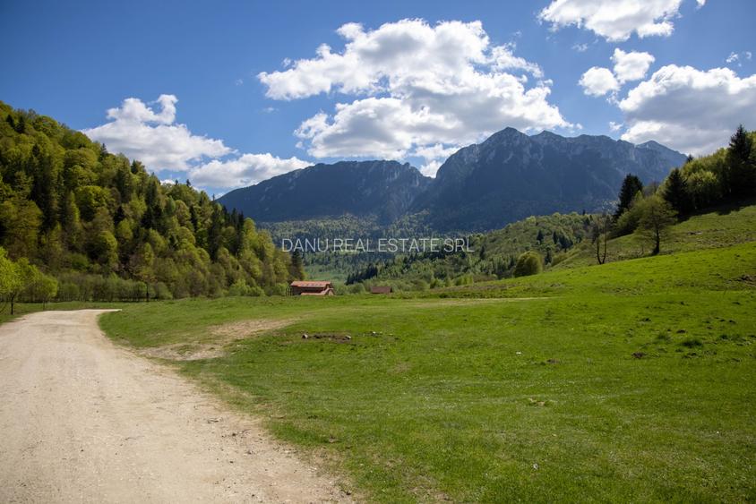 Zarnesti-Bârsa Fierului-Teren 1.893 mp pentru Casă de vacanță, A-frame - 9