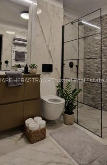 Vedere deschisa, terasa cu gradina,parcare paza la 3 minute de Parc Herastrau - 5