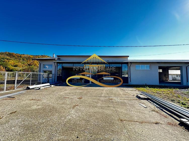 Hala de inchiriat 250 mp si spatiu ideal service AUTO Buhoci Bacau - 9