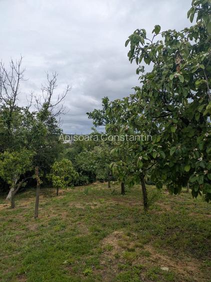 Casă de vânzare, Mihai Bravu, Giurgiu, locuinta permanenta sau casa de vacanta - 11
