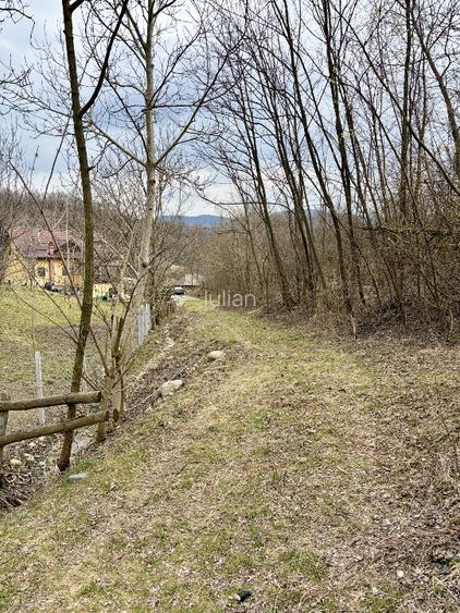 Teren Salatrucel Valcea intravilan cu curent trifazat 380V, faneata si padure - 8