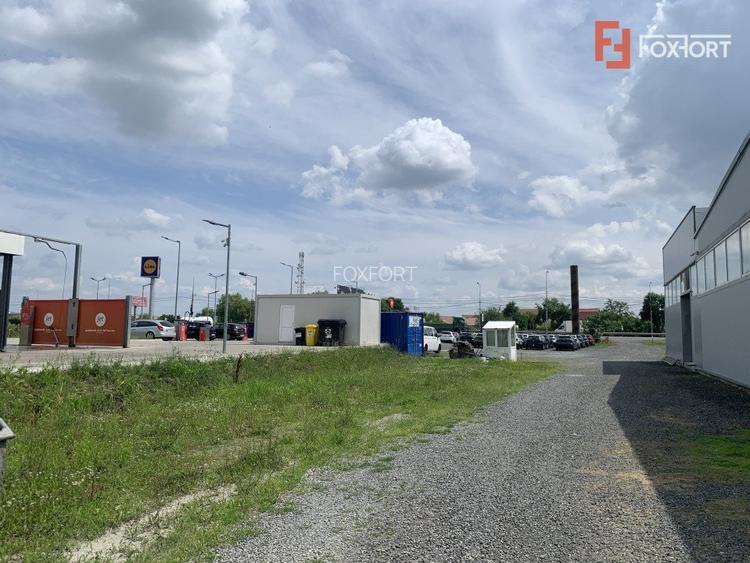 Teren de 712 mp de inchiriat cu acces auto la asfalt, calea Lugojului - 3