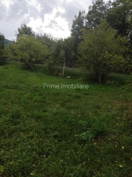 Casă individuală renovabilă | 2 camere | 1032 mp teren | La 13 km de Alba Iulia - 5