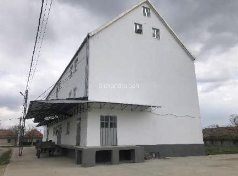 Moară cereale 50 t/zi + afacere funcțională | teren + hale | Bihor - 12