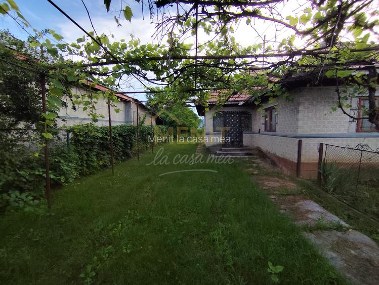 Casa si 2166 mp teren Magureni - 5