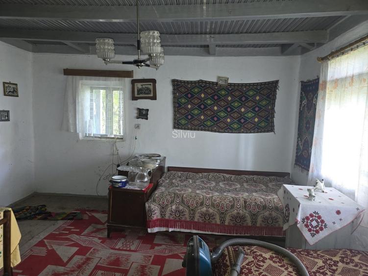 Casa batraneasca ,gradina cu vie si livada, fara agentie  - 8