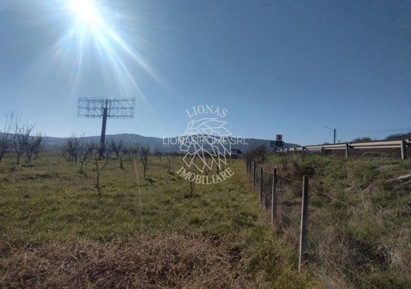 Teren intravilan 1,23 Ha la DN17 cu utilitati-livada-Crainimat - 3