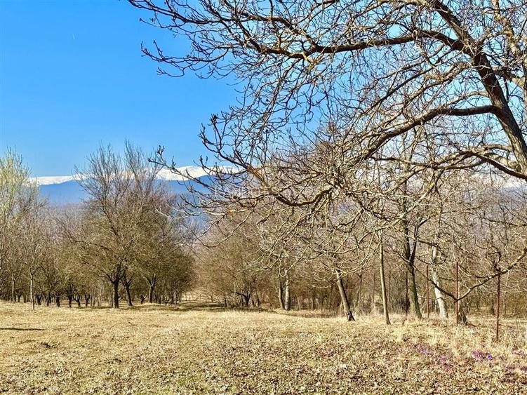 Casa + teren de vanzare in Campulung | Ideala locuinta sau casa de vacanta - 17