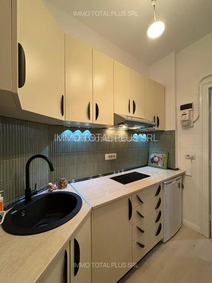 Garsoniera Sala Palatului, Parc Cismigiu, prima inchiriere, bloc consolidat - 6