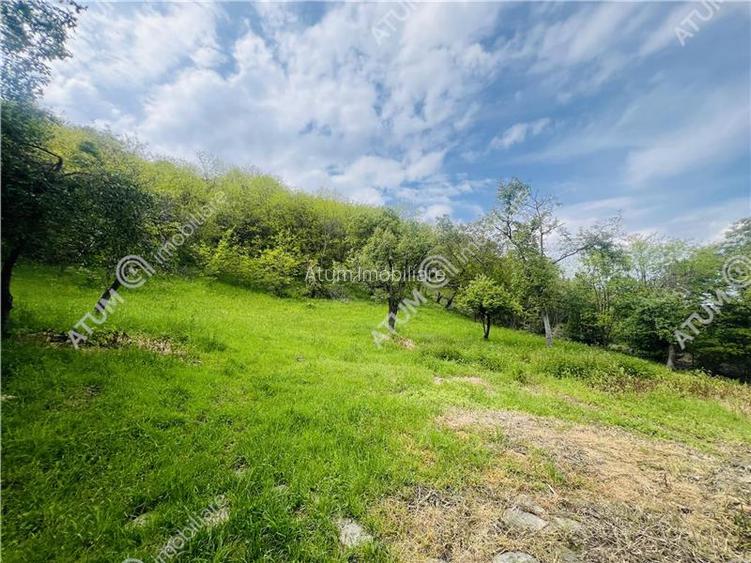 Teren intravilan de 1811 mp situat in Sibiel judetul Sibiu - 13