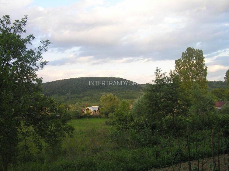 (307) Teren intravilan Calinesti – sat Carstieni, jud. Arges / Direct proprietar - 10