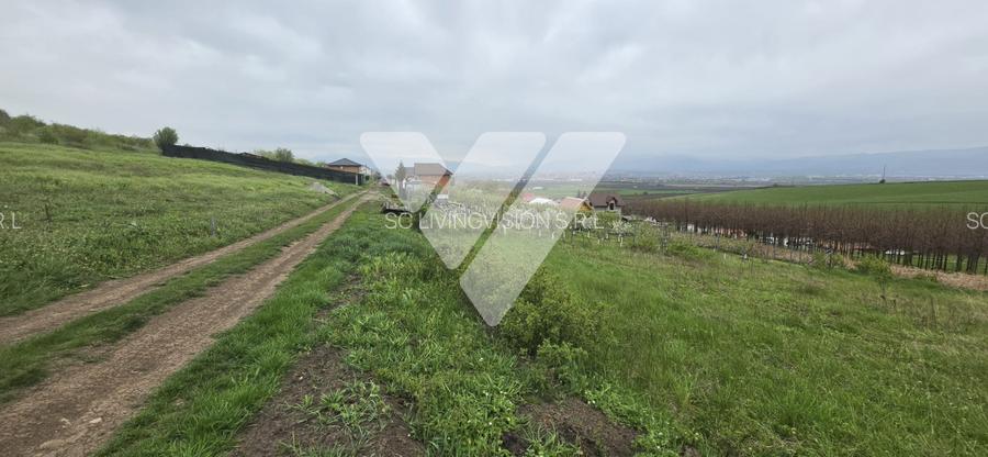 Investitie - Teren intravilan 536 mp Sura Mare ideal construcții - 4