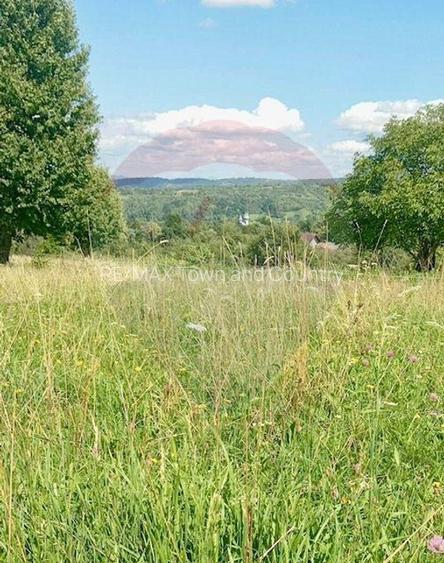 Teren 1,915mp Breb / Drumul Principal - 4