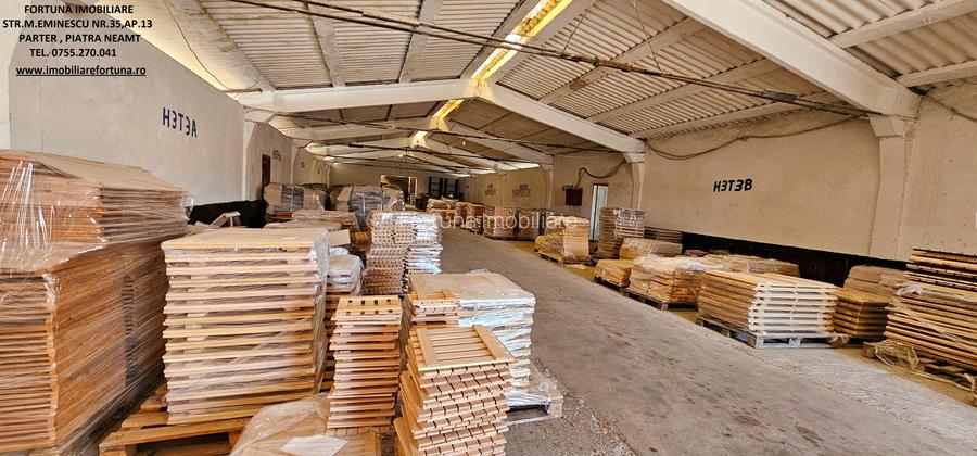 Complex imobiliar format din cladiri si constructii industriale+teren intravilan - 19