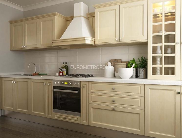 Vila S+P+E+M , constructie noua Floreasca - 3