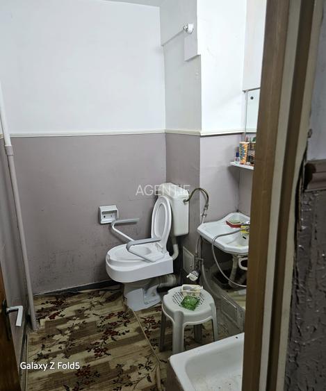 Teiul Doamnei-stradal-bloc 1983 - 4