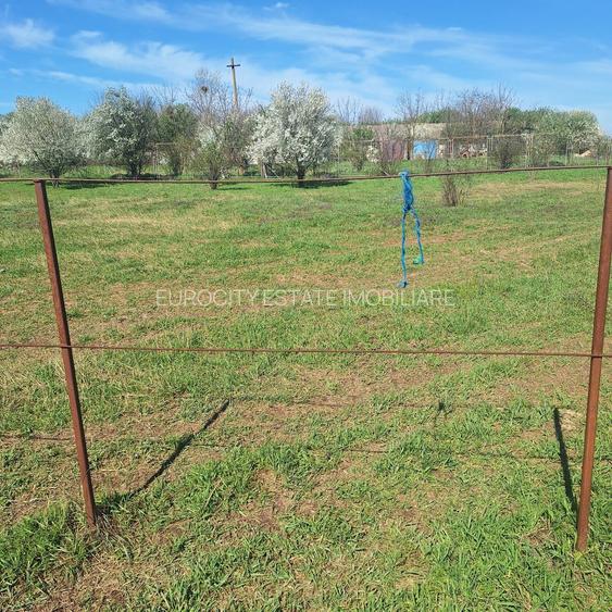 Dragomiresti- Vale, str Nucilor, teren intravilan 2.262mp. - 11