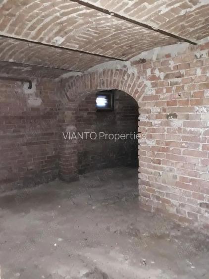 CASA 2 CAMERE SI DEMISOL SUB ARINI | NEMOBILATA | CURTE 1000 MP - 10