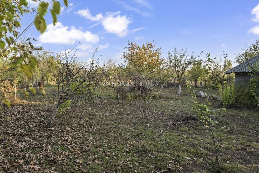 Comision 0% 2 case Vila + Spatiu Comercial + Curte Proprie - 34