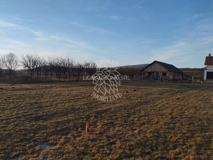 Teren 3500 mp-livada-Rusu Bargaului 13km de Bistrita - 3