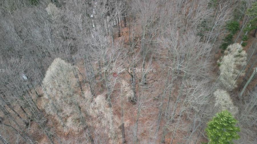 Teren in vecinatatea Castelului Peles - SINAIA - 11
