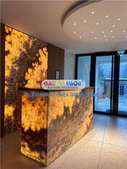 Prima inchirere penthouse 4 camere Aleea Privighetorilor - 27