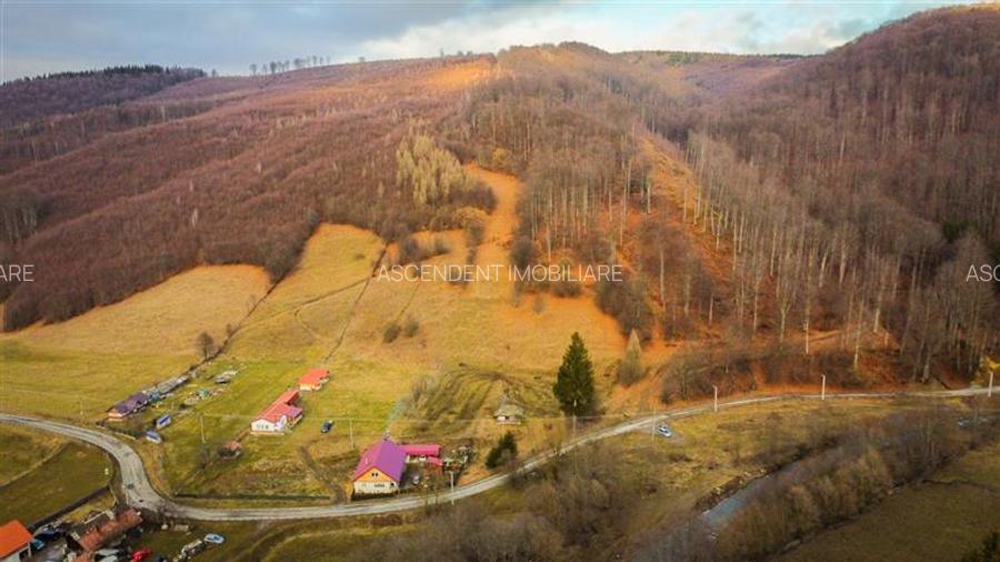 Teren la poalele padurii,Buzaiel,Vama Buzaului,DJ,constructie +utilitati,Brasov - 5