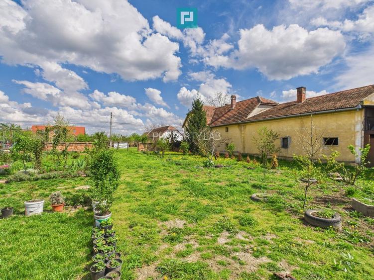 Teren 1300 mp, Beregsău Mare - 3