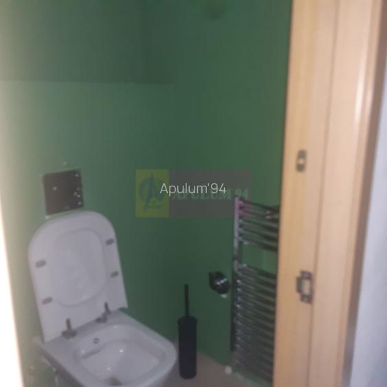 Spatiu Comercial Stradal Șoseaua Colentina zona Teiul Doamnei Suveica - 51