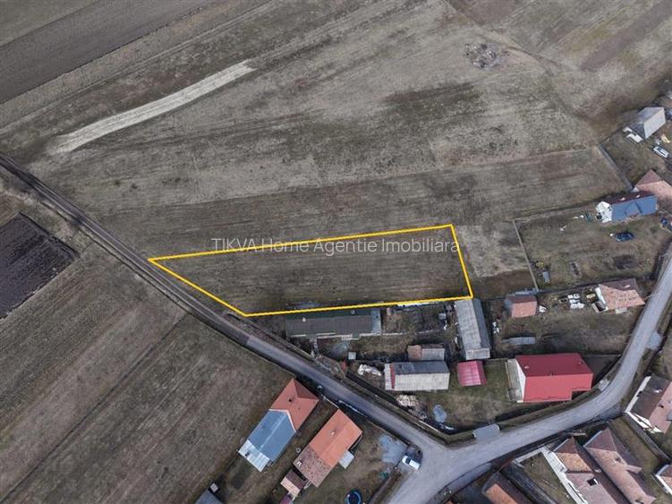 Teren intravilan in Suseni (str. Armeana) - 4