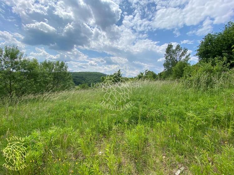 Teren intravilan 2800 mp cu utilitati-ideal case-Valea Ghinzii - 6