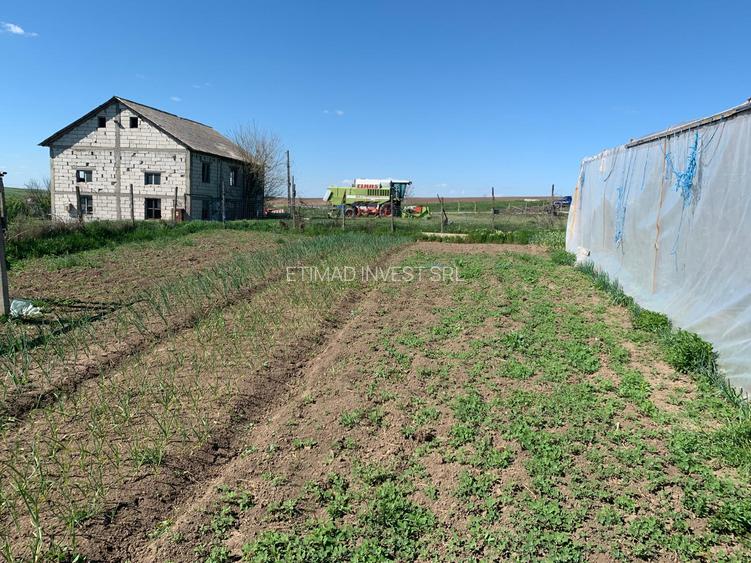 FERMĂ - PIETRENI - DN3 - UTILITĂȚI - 10.680 MP - 16