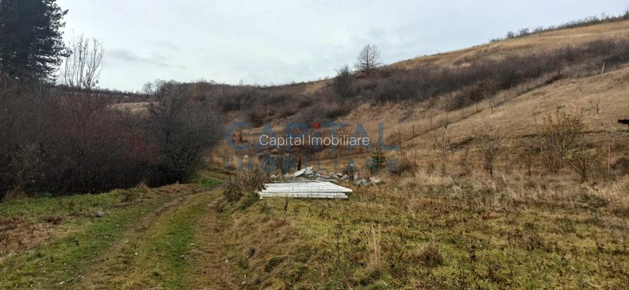 COMISION 0 LA CUMPARARE !! Teren de vanzare in Savadisla ! - 3