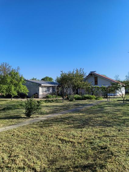 Casa Modernă + Casă de Oaspeți în Chișcani/ teren 1314 mp/panouri fotovoltaice