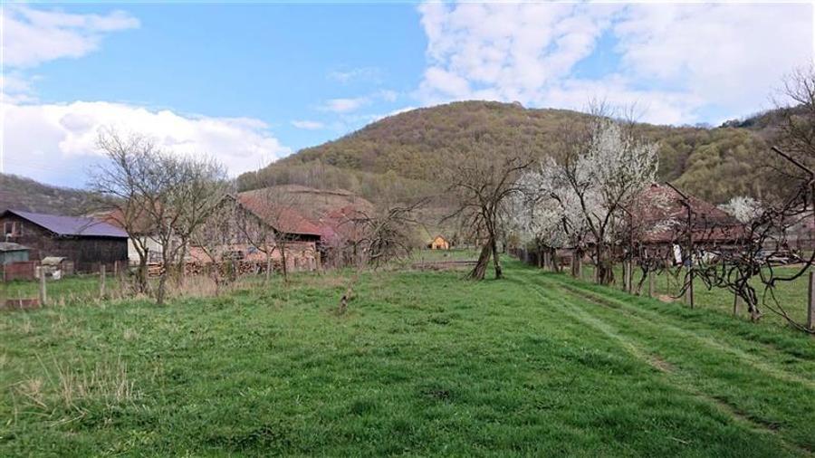 Casa si 3919 mp teren intravilan in Bucuresci, jud. Hunedoara