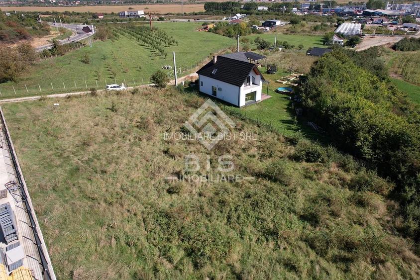 Teren Intravilan - Viisoara - 6