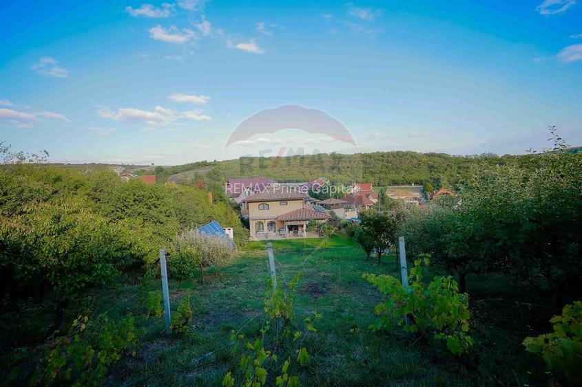 Vilă mediteraneană cu 5 camere, Dealuri Oradea - 33