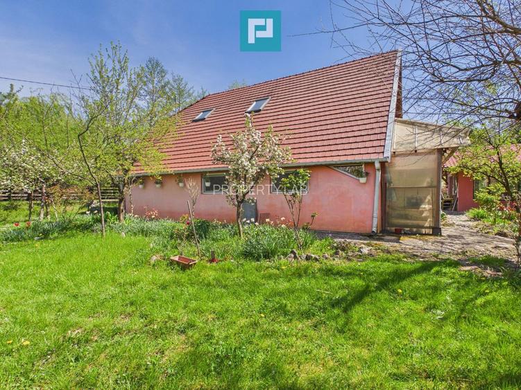 Casă Câmpani, 8000 mp teren, la poalele Apusenilor - 15