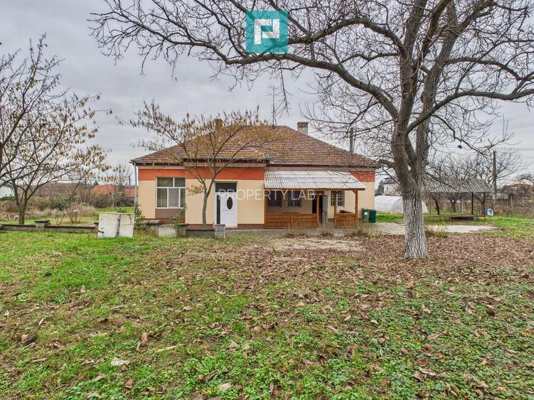 CONAC IMPRESIONANT ÎN GHIOROC - 59