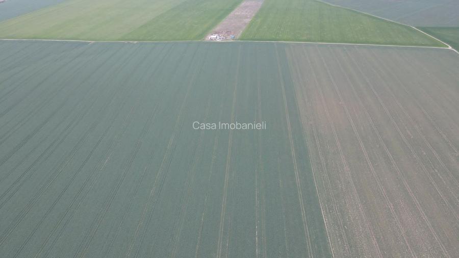 Giarmata Mare ,judetul Timis/teren 3,8 ha/preț  4,5 euro /mp - 3