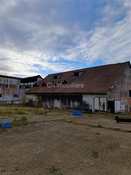 Spatii industriale pe teren de 11043 mp Daesti Valcea - 4