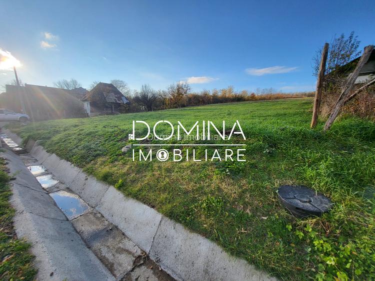 Teren 11.939 mp Balanesti – ideal rezidential/comercial - 5