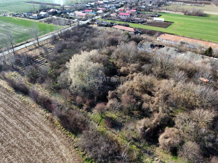 Ferma si livada de meri in judetul Ilfov - 5