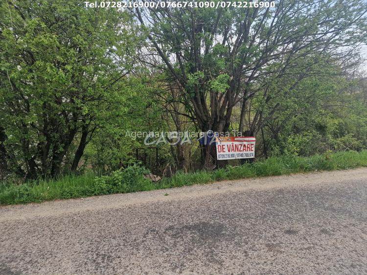 Teren Intravilan (671 mp),situat in Tetila - Bumbesti-Jiu - 4