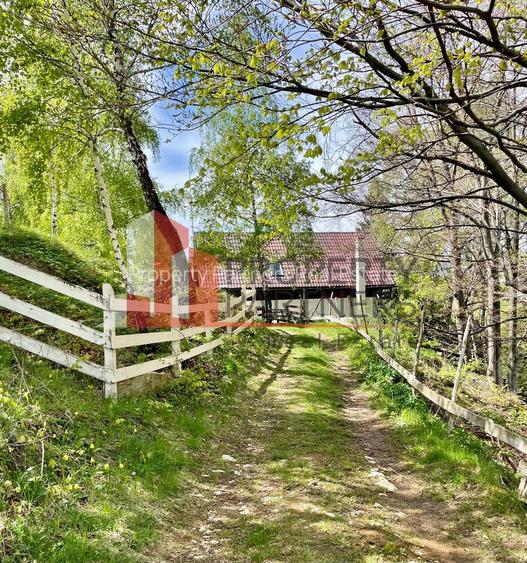 Teren in sat Pestera, comuna Moeciu. - 9