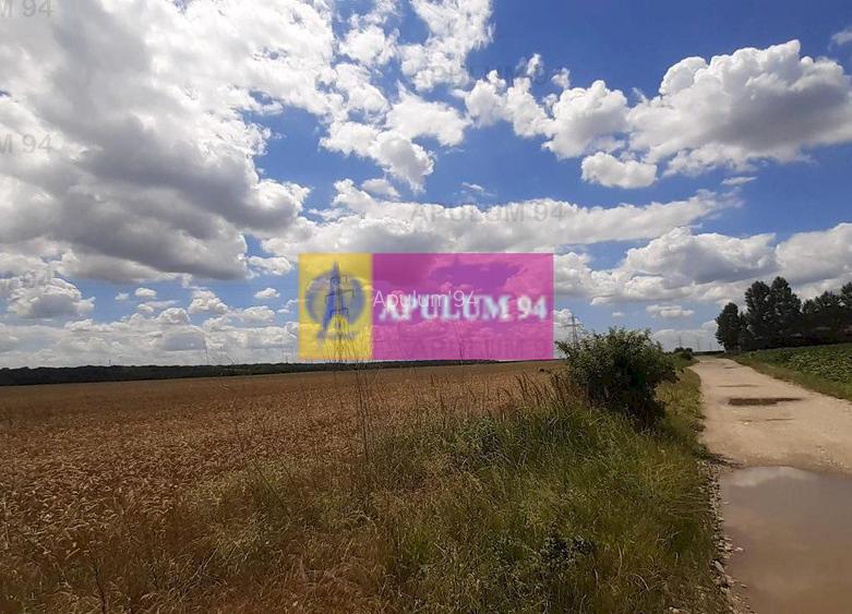 Teren 715mp în Snagov lângă Equestria - 21